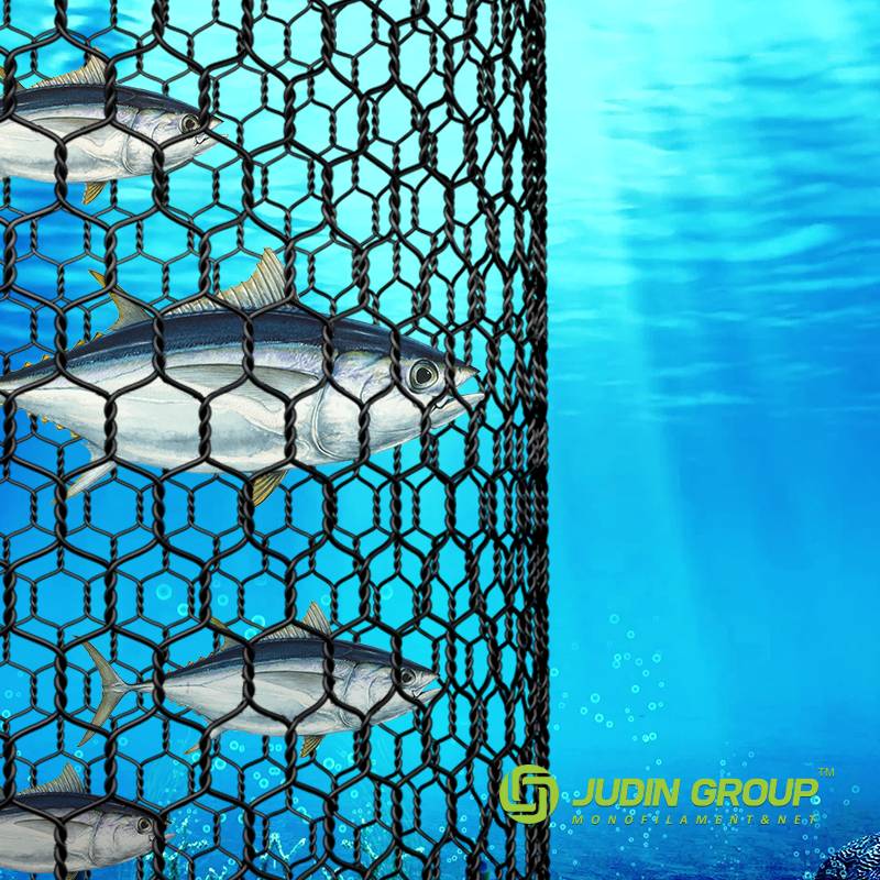 1.7 inch-Aquaculture nets-tuna pens-Small mesh-3.0mm - Buy 1.7  inch-Aquaculture nets-tuna pens-Small mesh-3.0mm Product on Judin Group Inc.