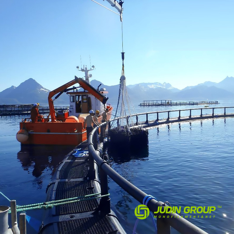 Hopenet Aquaculture Cage Net 3.0mm