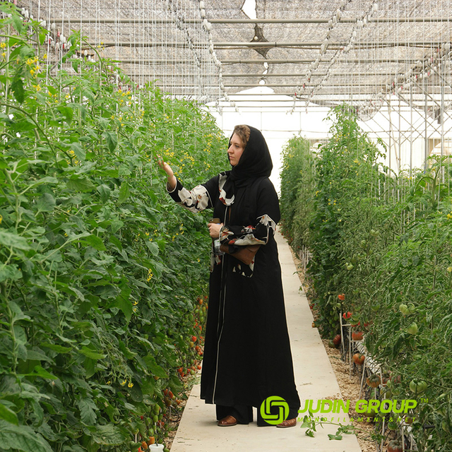 Greenhouse Line Coil