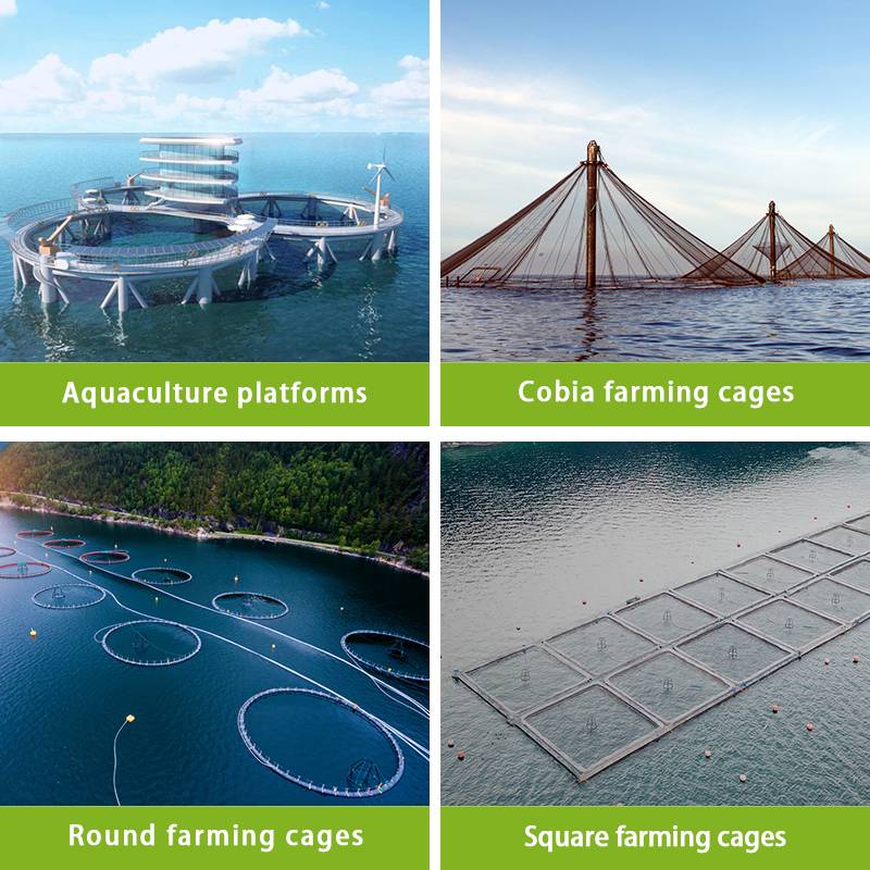 1.7 inch-Aquaculture nets-tuna pens-Small mesh-3.0mm - Buy 1.7  inch-Aquaculture nets-tuna pens-Small mesh-3.0mm Product on Judin Group Inc.