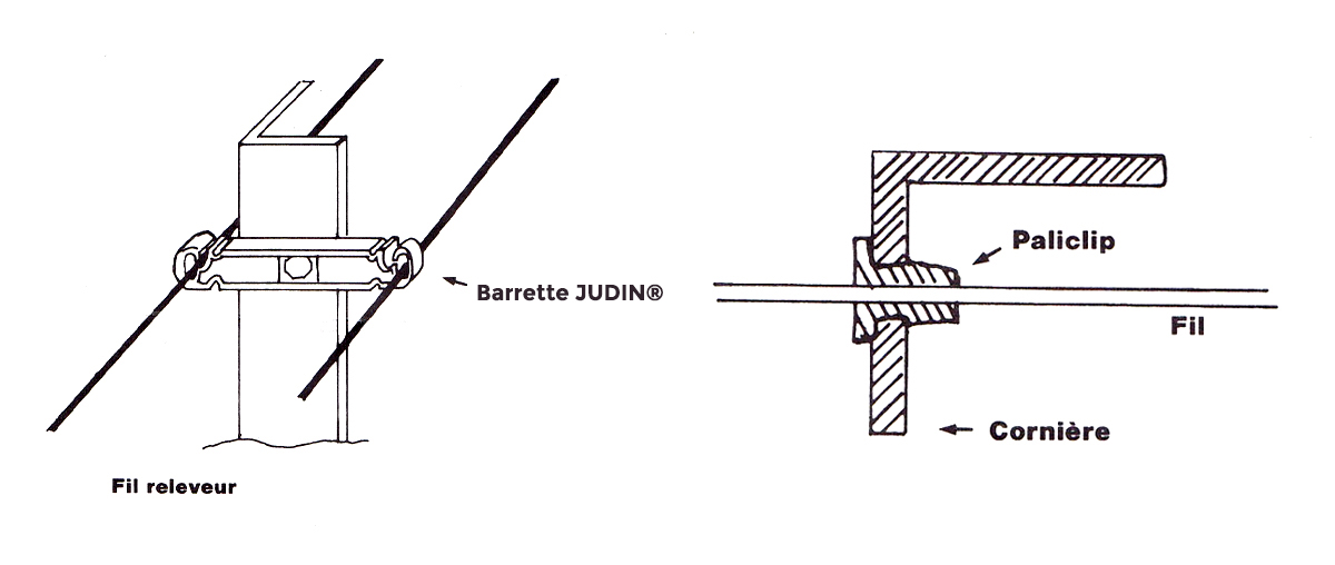 TRELLISING ON CORNER METAL STICKS (OR SEMICIRCULAR)