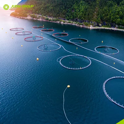 The Secret Weapon for Enhancing Aquaculture Efficiency: JudinGroup™ High-Strength Aquaculture Nets