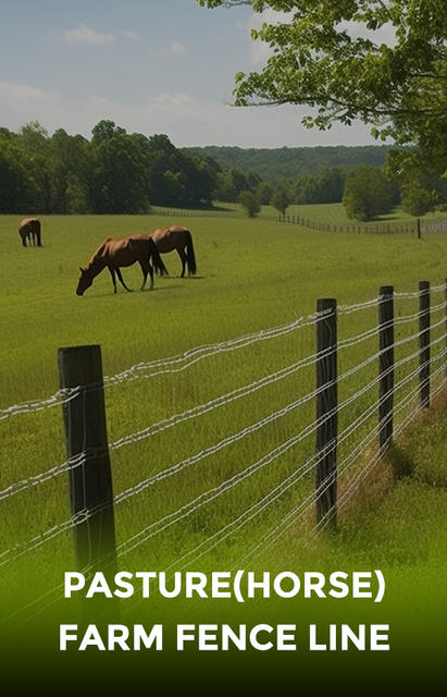 Pasture-Horse