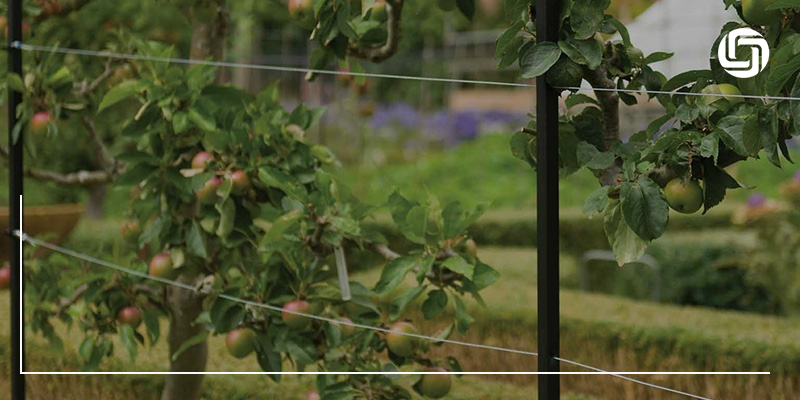 Greenhouses Support Lines