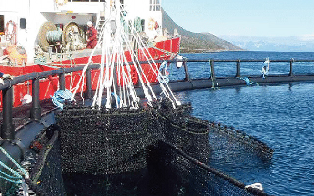 Aquaculture Nets-HopeNet-Round Cage