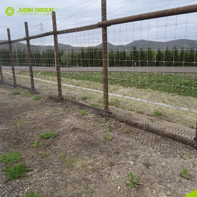 Why Are More And More Large American Ranches Choosing JudinGroup™'s Lightweight Fencing Nets?