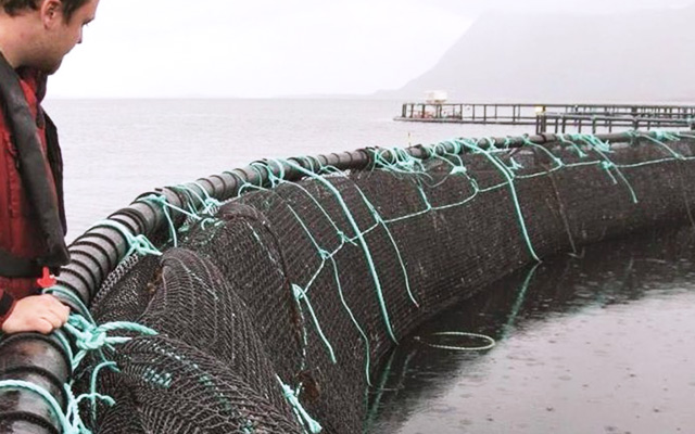 Aquaculture Nets-HopeNet-collect the fish