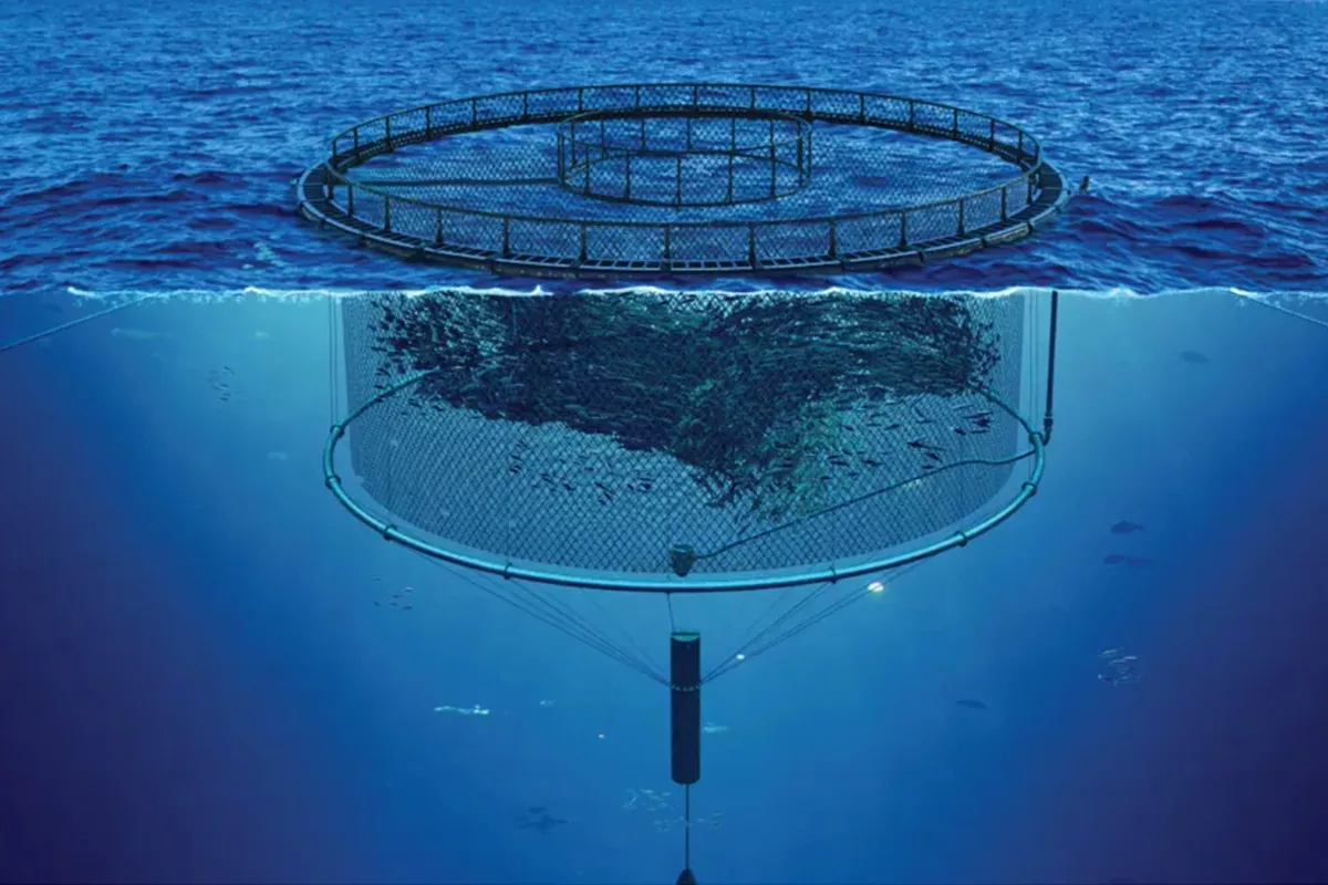 Why are more and more Icelandic offshore fisheries choosing JudinGroup™'s aquaculture nets?