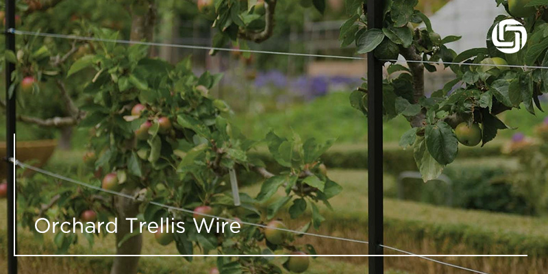 Orchard Trellis Wire